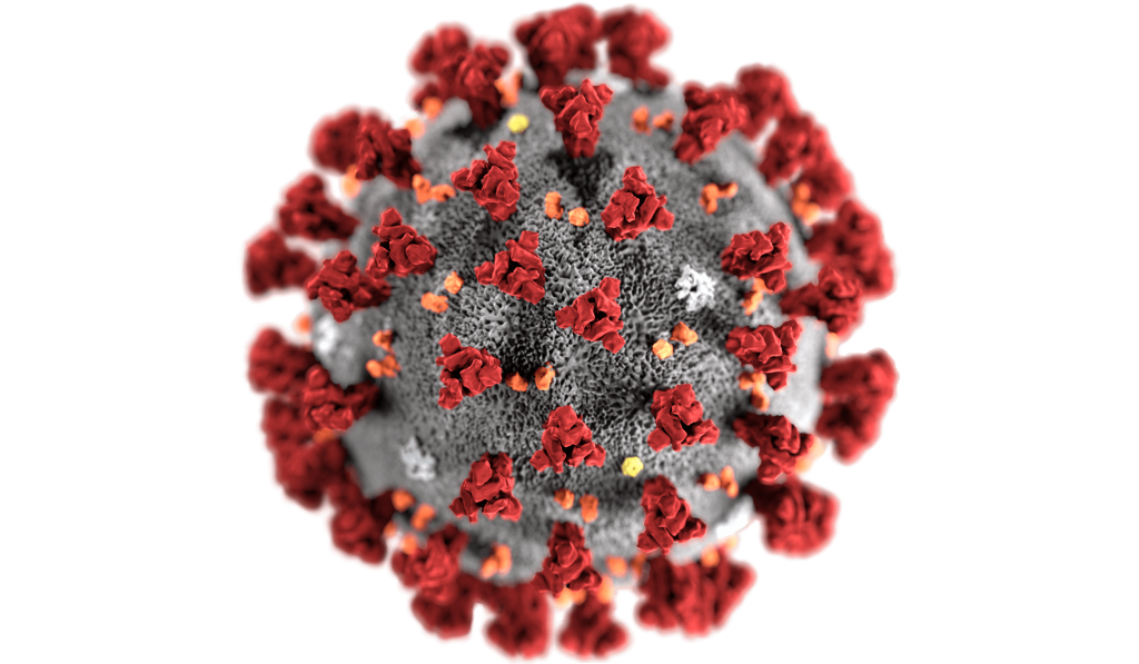 Grafika przedstawiająca koronowirusa
